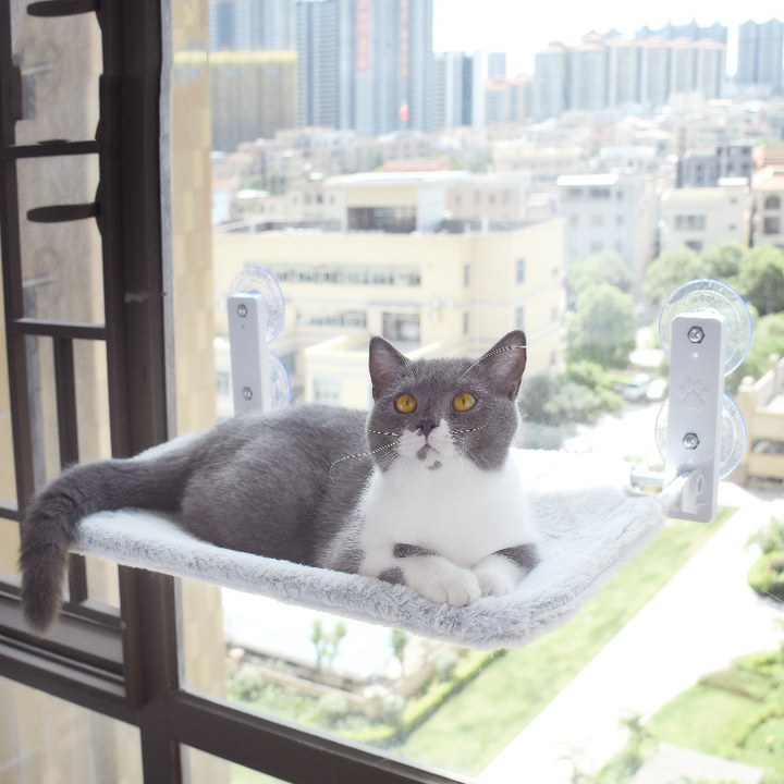 Cat Suction Cup Window Glass Hammock Pets Products