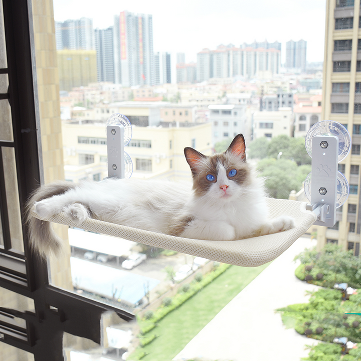 Cat Suction Cup Window Glass Hammock Pets Products