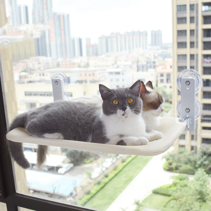 Cat Suction Cup Window Glass Hammock Pets Products